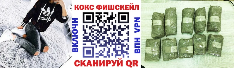 COCAIN FishScale  Архангельск 